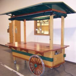 Custom outdoor retail push cart for vending concessions