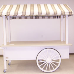 Retail wagon wheeled mobile vending pushcart