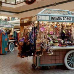 Deep cabinet retail cart with storage and tile canopy