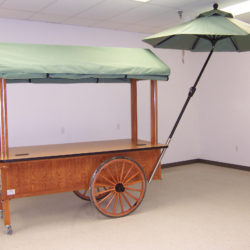 Outdoor retail vending push cart with shade umbrella