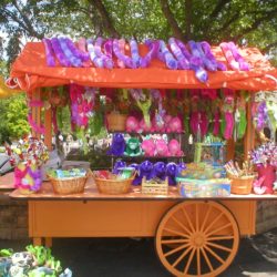 Retail push cart for zoos, amusement parks, hospital gift shop