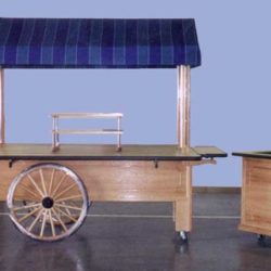Custom wood retail cart with matching cash wrap and tiered display