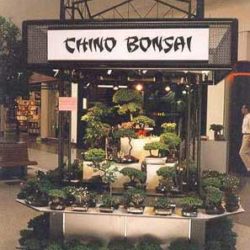 Custom retail merchandising unit, RMU, at a mall